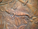 CJ Detail : Iguana